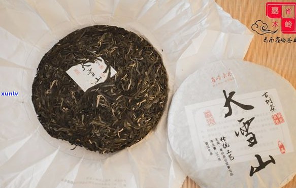 大雪山牌老树普洱茶