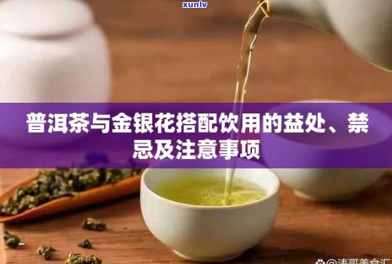 普洱茶与金银花搭配饮用的可行性及适宜人群探究