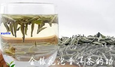 普洱茶与金银花搭配泡水喝的好处及注意事项