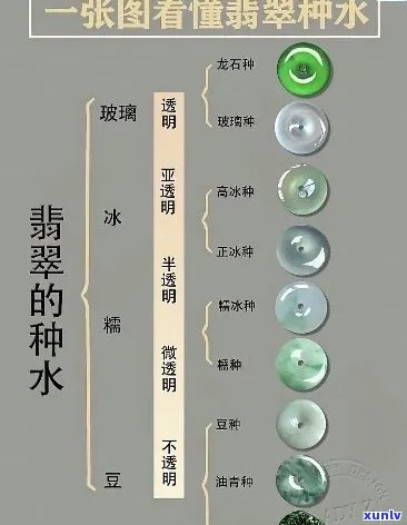 翡翠科普基础知识大全：了解翡翠的基本知识，答案与入门级技巧