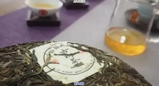 易武古树茶三大全解析：品质、特点与口感对比，助您挑选最适合的茶叶