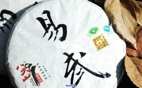 易武古树茶三大全解析：品质、特点与口感对比，助您挑选最适合的茶叶