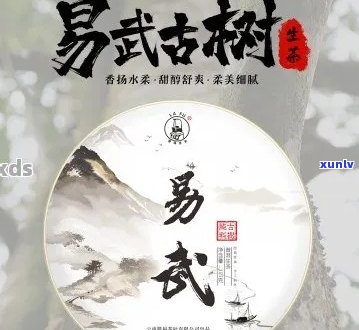 易武古树普洱生茶357克多少钱一瓶？易武古树茶生茶357克价格是多少？