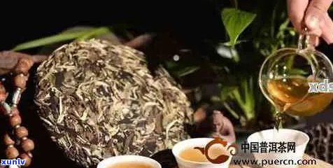 胰腺炎可以喝普洱茶吗？女性适合饮用普洱茶吗？喝普洱茶对胰腺炎有影响吗？