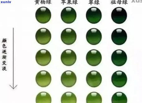 翡翠秧苗绿：品种特性、种植技术与观赏价值全面解析