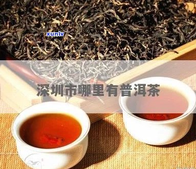 深圳市普洱茶购买购商网站条件与网 - 深圳普洱茶购买指南