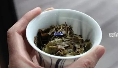 普洱茶泡起来呈絮状