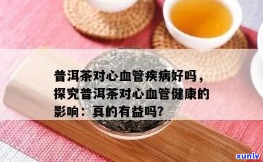 生普洱茶的全面功效与健益处：探索其对消化、免疫系统和心血管的影响