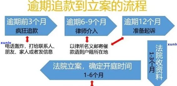 信用卡逾期问题解决方案：详细报案指南与重要步骤