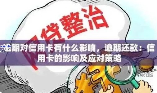 新信用卡逾期还款攻略：如何高效处理逾期问题？