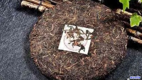 新 '云茶业的樟香普洱茶1731,评价、口感与价格详解'