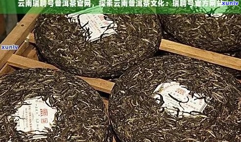 云南省普洱市云茶业：专注于高品质普洱茶的创新与传承