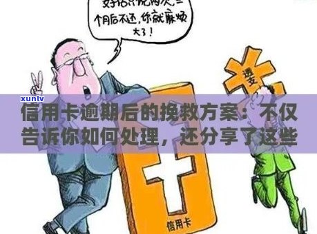 信用卡逾期后的重要检查事项：如何规划您的信用修复策略