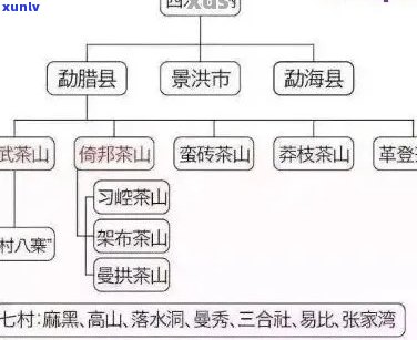 易武深山普洱茶：产地、品种、 *** 工艺与品饮技巧全方位解析