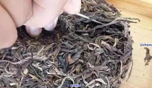 普洱茶撬开有点碎味