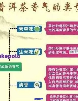 全面解析：普洱茶十大产地与特色，助您轻松挑选高品质普洱茶