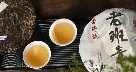 云南原生态普洱茶：宏丰元精选古树茶，口感醇厚，回味悠长