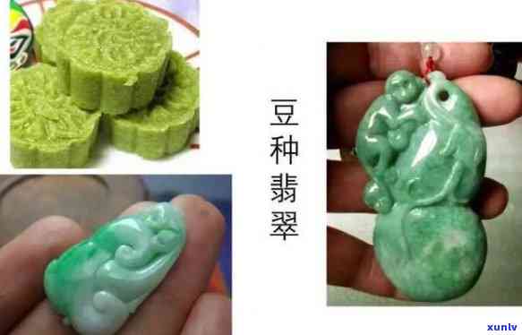 翡翠豆种：新品种还是传统珍品？探究其起源与特点