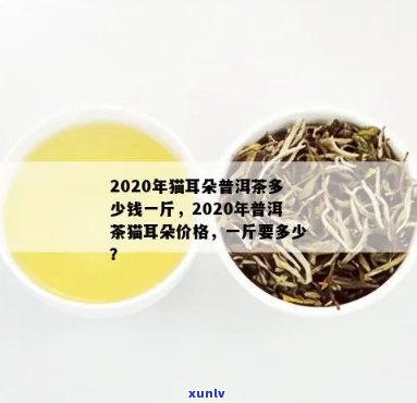 2020年猫耳朵普洱茶价格指南：一斤多少钱？购买渠道有哪些？