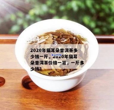 2020年猫耳朵普洱茶价格指南：一斤多少钱？购买渠道有哪些？