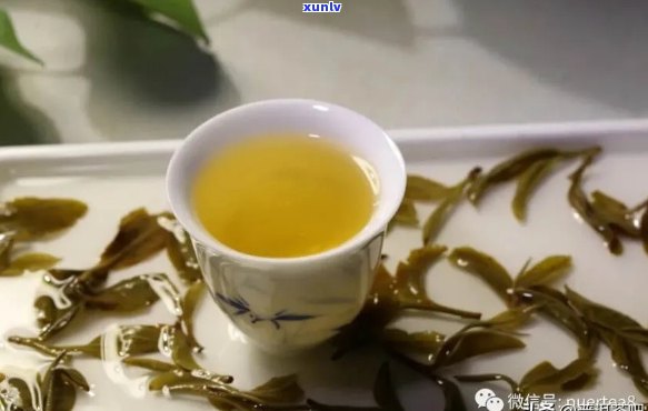 倚邦猫耳朵普洱茶：独特品种与神奇口感的完美结合