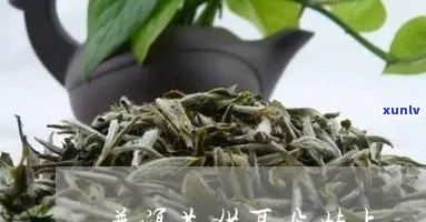 普洱茶勐库种猫耳朵