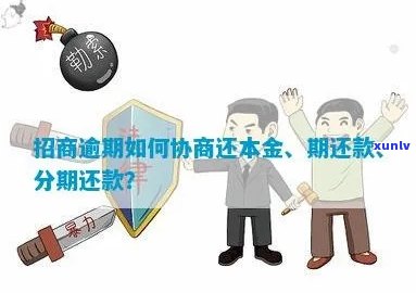 想调解招商信用卡逾期怎么协商还款？