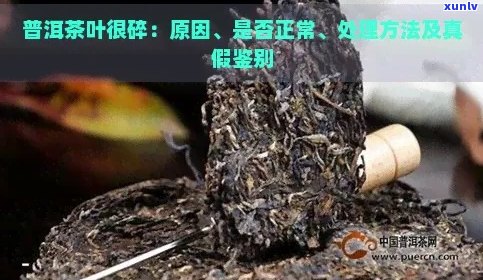 叶底碎普洱茶的品饮价值与处理方式