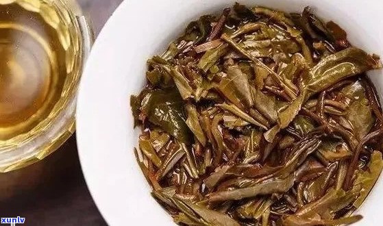 叶底碎裂的普洱茶品名及其特点：全面解析与推荐