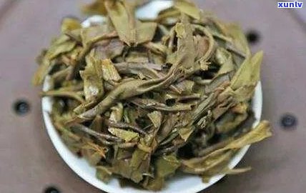 叶底碎裂的普洱茶品名及其特点：全面解析与推荐