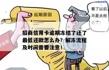 招商银行信用卡逾期被冻结，如何迅速解冻并恢复信用？