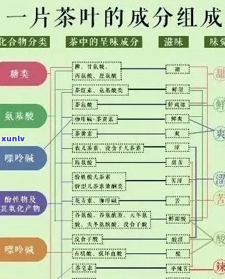 探究普洱茶中麻味来源：成分分析、品饮技巧及可能的误区