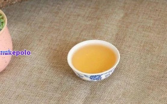 探究普洱茶中麻味来源：成分分析、品饮技巧及可能的误区