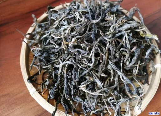 义乌正山古树普洱茶：名山韵味，古树茗香，品鉴珍稀好茶