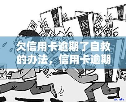 我信用卡欠钱逾期了怎么办：自救指南，逾期后果与解决办法