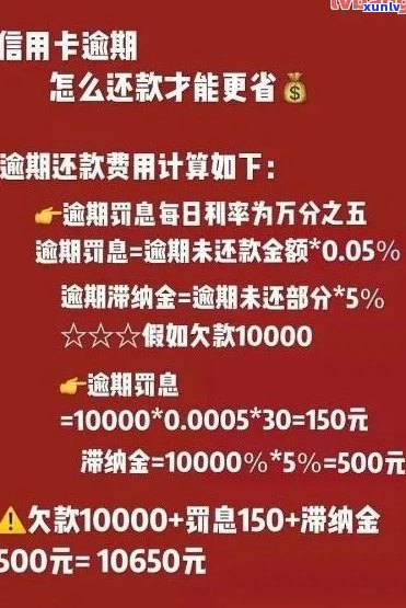 逾期信用卡还款全攻略：如何规划、协商和解决信用卡欠款问题