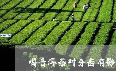 普洱茶对牙齿的影响及如何减轻不适感