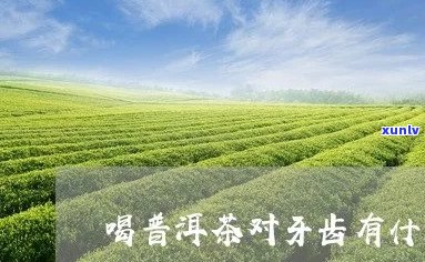 普洱茶对牙齿的影响及如何减轻不适感