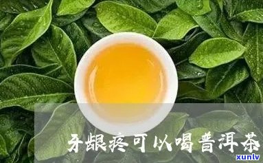 普洱茶喝了牙龈疼的害？怎么办？