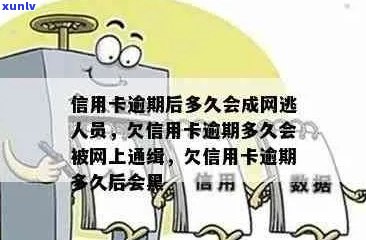 我信用卡欠钱逾期了