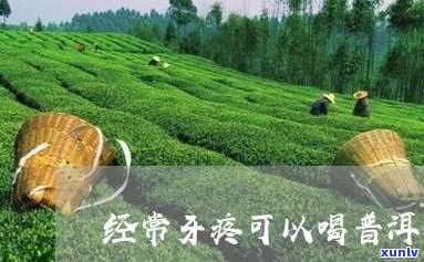 喝普洱茶牙痛怎么治