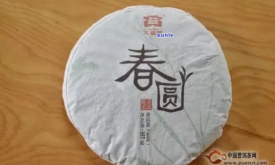 一团春意大益茶价格：前景如何，值得收藏吗？大益茶的用料及品鉴体验