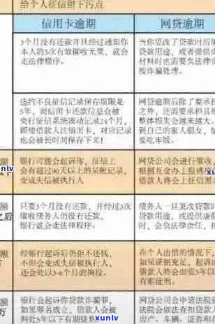 处理信用卡逾期案件全方位指南：已提交案件后该如何应对？