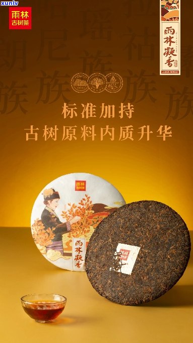 启元熟饼普洱茶：经典熟茶与独特风味的完美融合