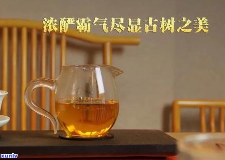 普洱茶冲泡度及水量的全面指南：如何确定冲泡 *** 以获得口感