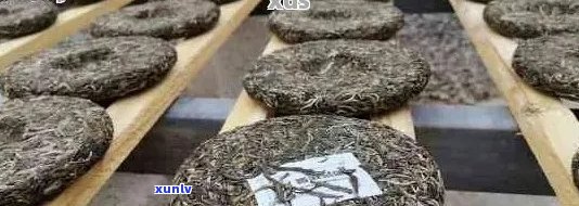 普洱茶沱茶饼保存 *** 全解析：如何正确存以保持其品质和口感