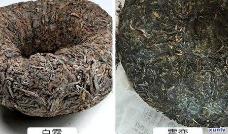 普洱茶饼手掰的正确 *** 及注意事项：有吗？如何避免素危害？