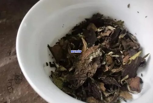 探索普洱茶大白菜的 ***  *** ：从选材到烹饪，全面解答您的疑问