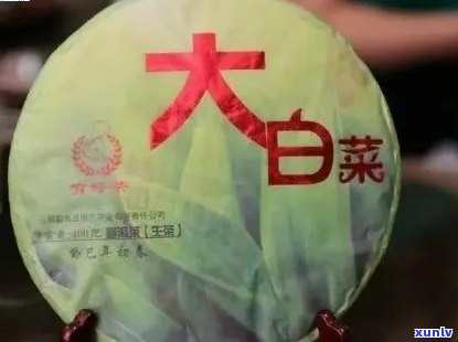 探索普洱茶大白菜的 ***  *** ：从选材到烹饪，全面解答您的疑问