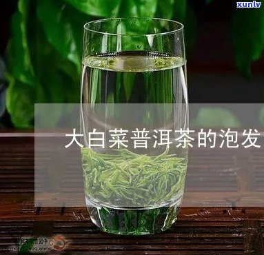 普洱茶大白菜的做法